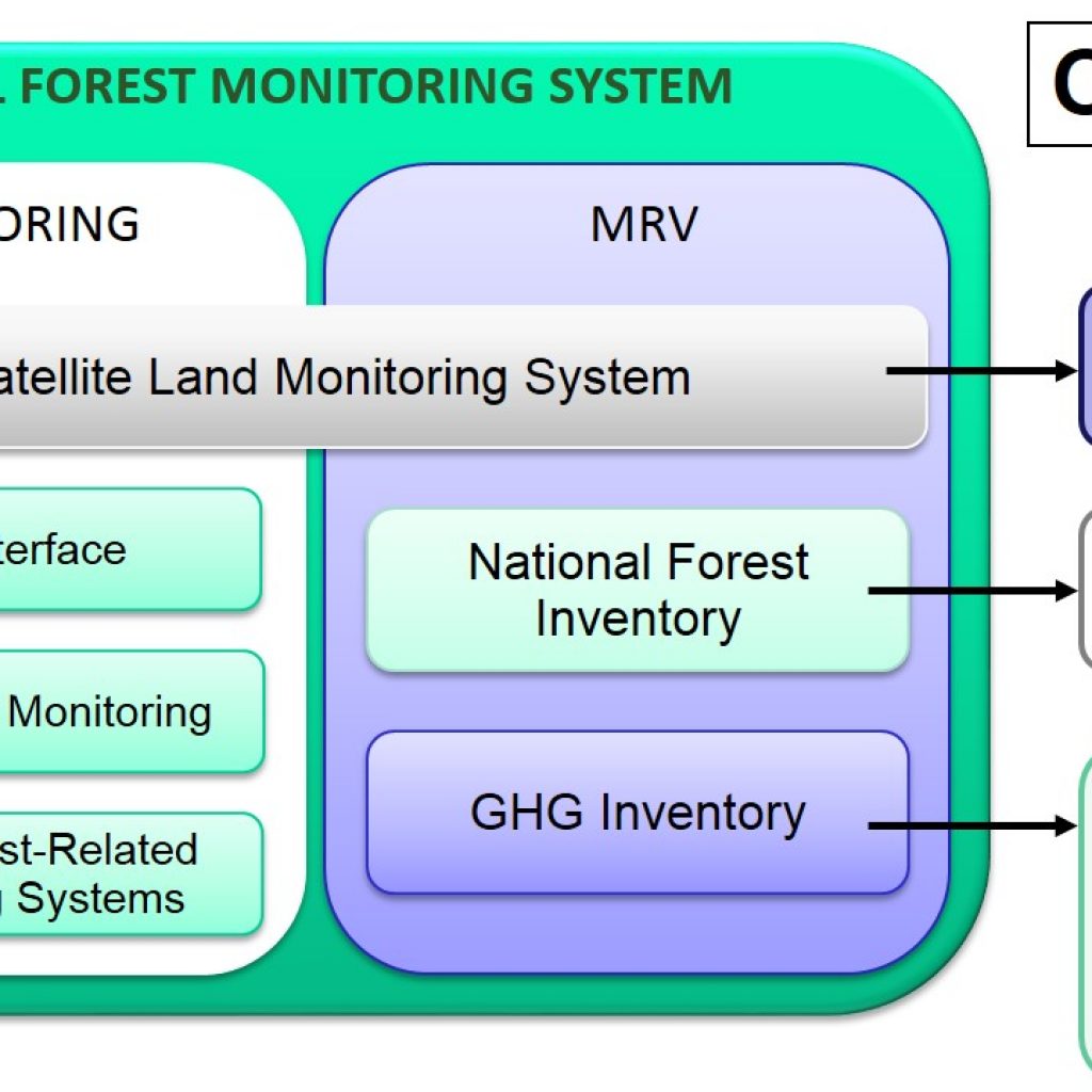 NFMS & MRV REDD+ Pakistan